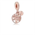 Pandora Family Heritage Dangle Charm-PANDORA Rose & Clear Jewelry 781728CZ