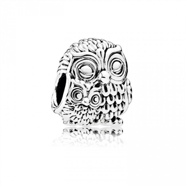 Pandora Charming Owls Charm 791966 Jewelry