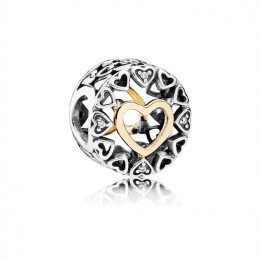 Pandora Loving Circle Charm-Clear Jewelry 792009CZ